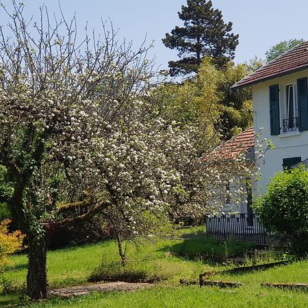 La Petite Sommiere Daire Besançon Dış mekan fotoğraf