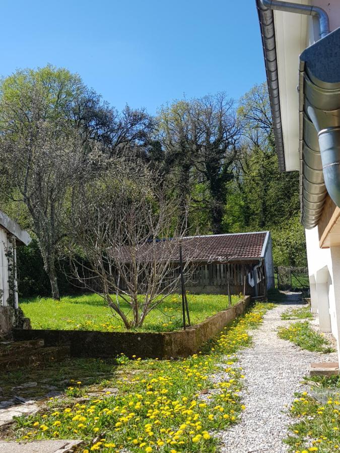 La Petite Sommiere Daire Besançon Dış mekan fotoğraf