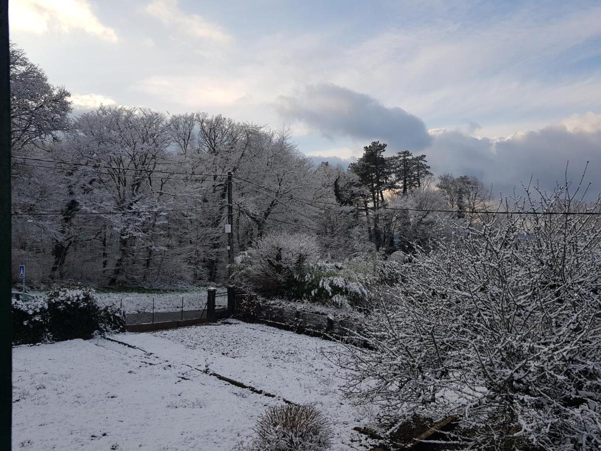 La Petite Sommiere Daire Besançon Dış mekan fotoğraf