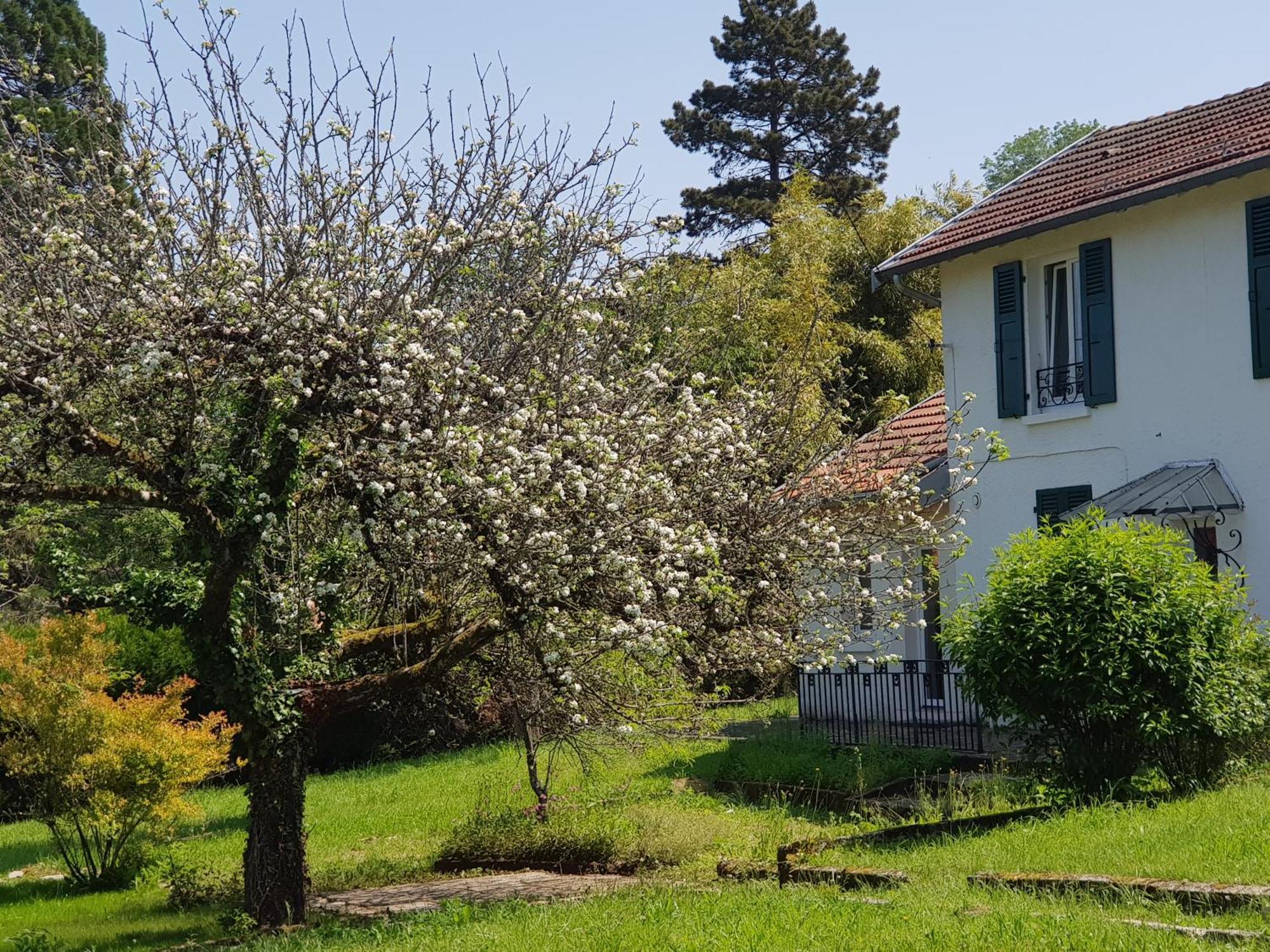 La Petite Sommiere Daire Besançon Dış mekan fotoğraf